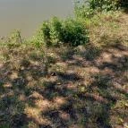 Hotel Bellevue Esztergom - Egyéb