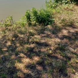 Hotel Bellevue, Esztergom - Egyéb