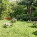 Kámoni Arborétum & Ökoturisztikai Központ Szombathely - Egyéb