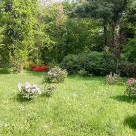 Kámoni Arborétum & Ökoturisztikai Központ, Szombathely - Egyéb