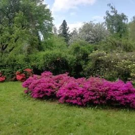 Kámoni Arborétum & Ökoturisztikai Központ, Szombathely - Egyéb