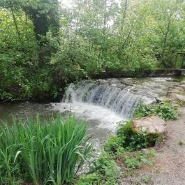 Kámoni Arborétum & Ökoturisztikai Központ, Szombathely - Egyéb