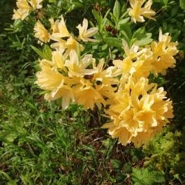 Kámoni Arborétum & Ökoturisztikai Központ, Szombathely - Egyéb