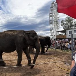Richter Safari Park Nagykőrös - Külső kép