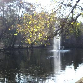 Kikelet Club Hotel Miskolctapolca - Környék