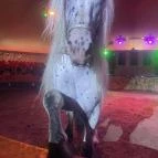 Richter Safari Park Nagykőrös - Egyéb