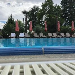 Wellness Hotel Gyula Gyula - Medence/kert