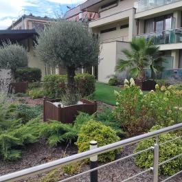 Wellness Hotel Gyula Gyula - Medence/kert
