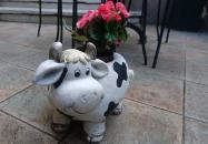 Bergmann Cukrászda - Zsigmond utca Balatonfüred