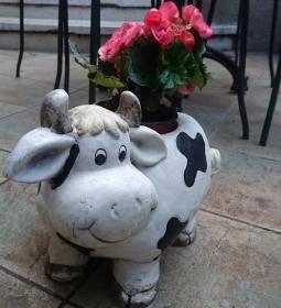 Bergmann Cukrászda - Zsigmond utca