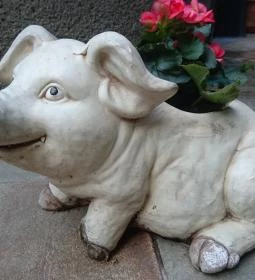 Bergmann Cukrászda - Zsigmond utca