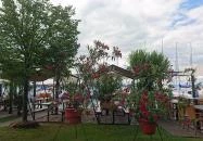 Calypso Étterem Siófok