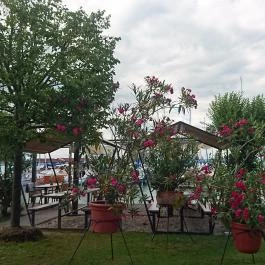 Calypso Étterem Siófok - Külső kép