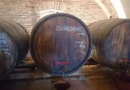 Istvándy Borműhely Badacsonytomaj