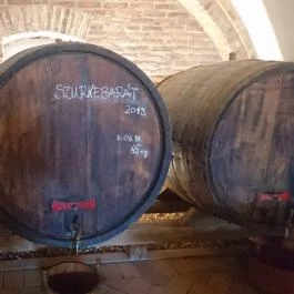 Istvándy Borműhely, Badacsonytomaj - Belső