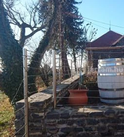 Istvándy Borműhely