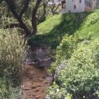 Malomvölgy Központ Apartman Felsőörs - Környék