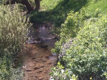 Malomvölgy Központ Apartman Felsőörs