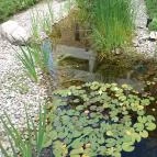 Residence Hotel Balaton Siófok - Medence/kert