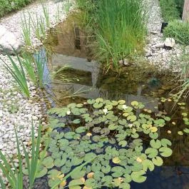 Residence Hotel Balaton, Siófok - Medence/kert