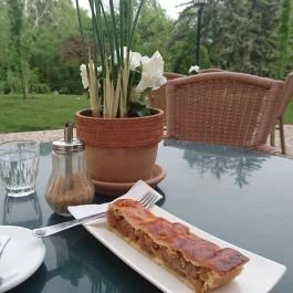 Vaszary Villa, Balatonfüred - 