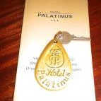 Hotel Palatinus City Center Pécs - Belső