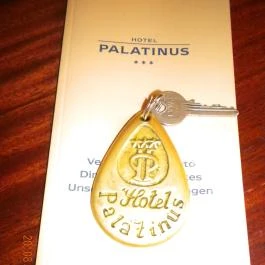 Hotel Palatinus City Center Pécs - Belső