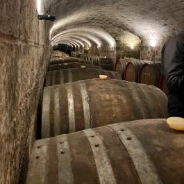 Angyal Borászat, Rátka - Egyéb