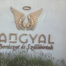 Angyal Borászat, Rátka - Egyéb