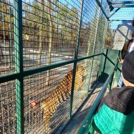 Richter Safari Park, Nagykőrös - Egyéb