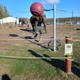 Richter Safari Park, Nagykőrös - Egyéb