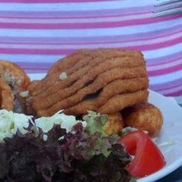 Kiskőrössy Halászcsárda Szeged - Étel/ital