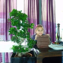 Melba Panoráma Étterem Budapest - Egyéb