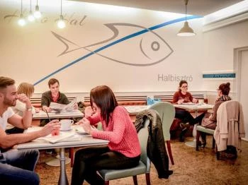 HelloHal Halbisztró Kecskemét