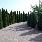 Termál Apartman Panzió Nyírbátor - Külső kép