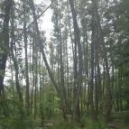 Tatai Fényes tanösvény Tata - Egyéb