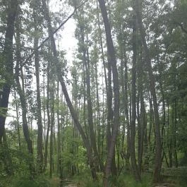 Tatai Fényes tanösvény, Tata - Egyéb