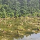 Tatai Fényes tanösvény Tata - Egyéb