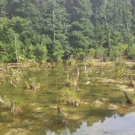 Tatai Fényes tanösvény, Tata - Egyéb