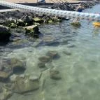 Siófoki Nagystrand Siófok - Külső kép