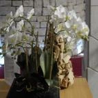 Cascade Resort & Spa Wellness Hotel Demjén - Egyéb