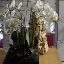 Cascade Resort & Spa Wellness Hotel Demjén - Egyéb