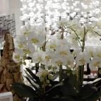 Cascade Resort & Spa Wellness Hotel Demjén - Egyéb