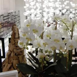 Cascade Resort & Spa Wellness Hotel Demjén - Egyéb