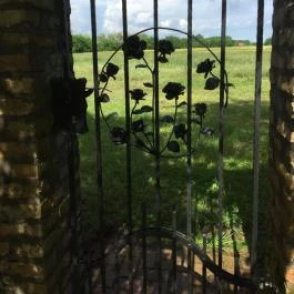 Fekete Gólya Vendéglő, Kecskemét - Belső