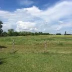 Fekete Gólya Vendéglő Kecskemét - Külső kép