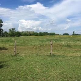 Fekete Gólya Vendéglő, Kecskemét - Külső kép