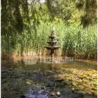 Fekete Gólya Vendéglő Kecskemét - Külső kép