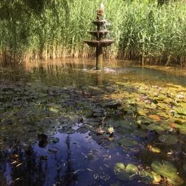 Fekete Gólya Vendéglő, Kecskemét - Külső kép