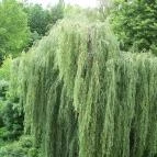 Hotel Arborétum Harkány - Környék